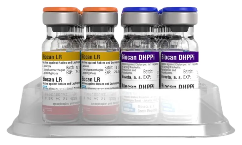 Biocan DHPPI+LR