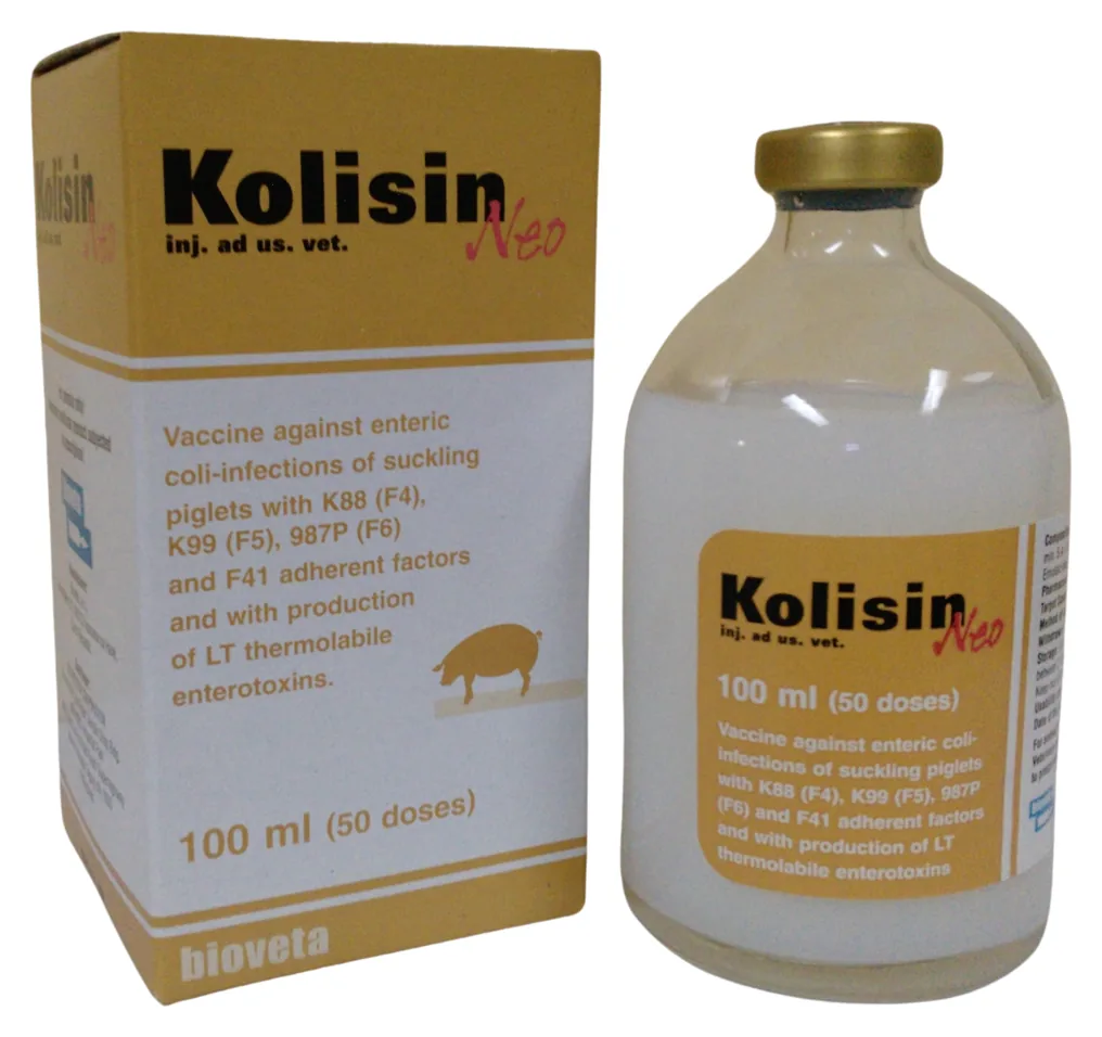 Kolisin Neo